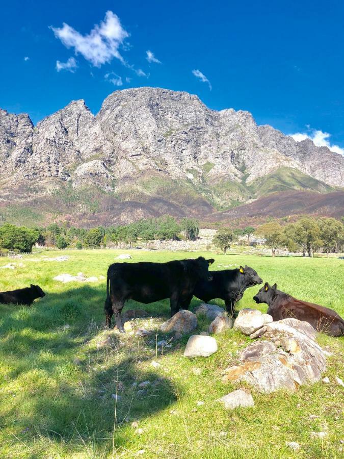 בית הארחה פרנצ'הוק 	The Barn In Franschoek מראה חיצוני תמונה