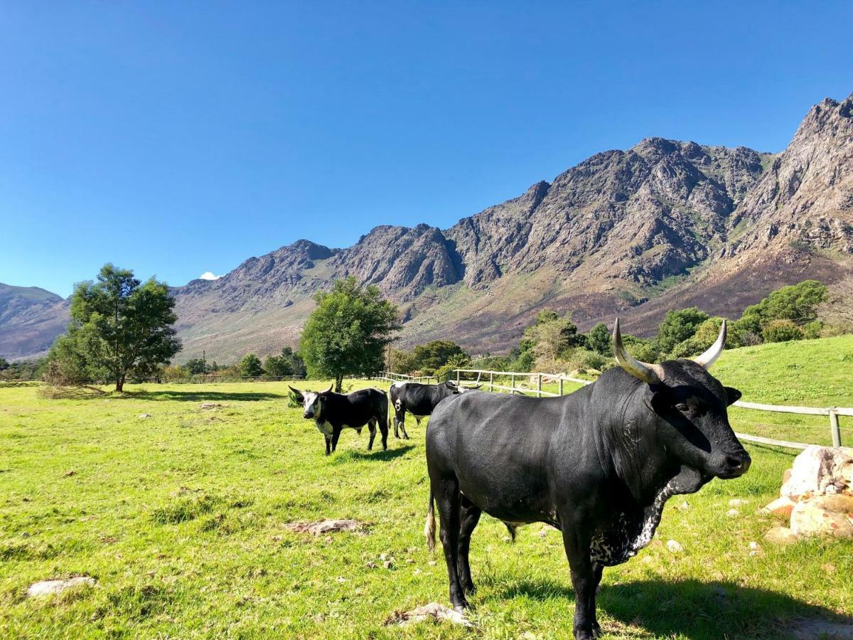 בית הארחה פרנצ'הוק 	The Barn In Franschoek מראה חיצוני תמונה